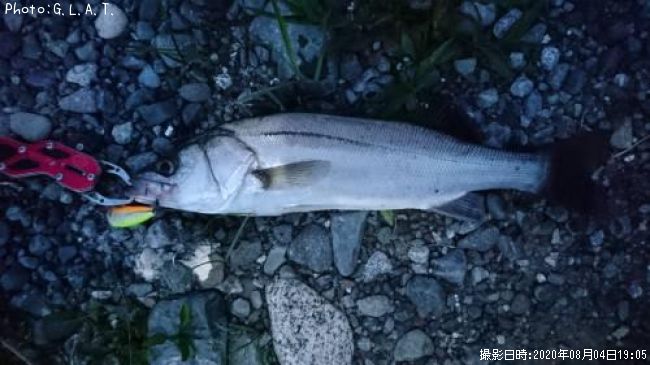 �����Х�