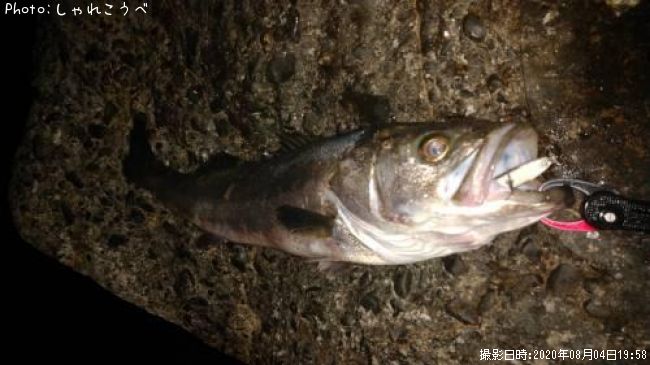 �����Х�