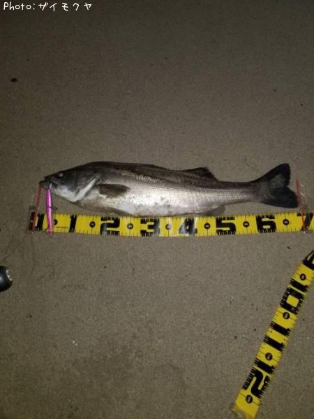 �����Х�