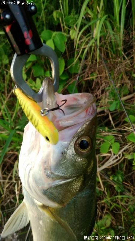 �����Х�