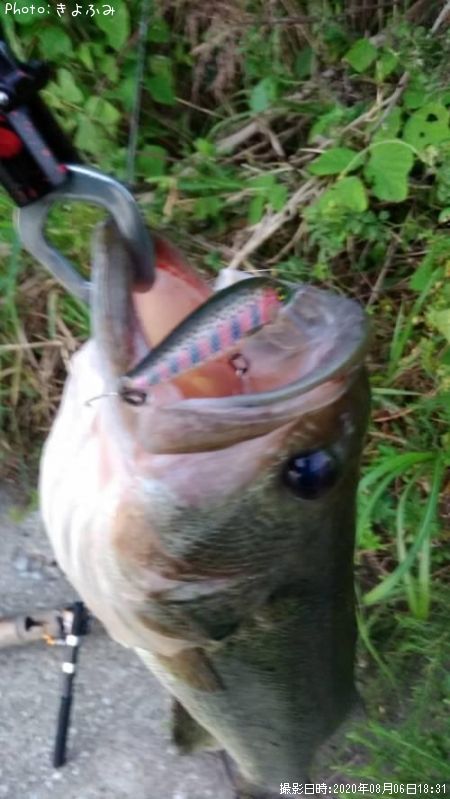 �֥�å��Х�