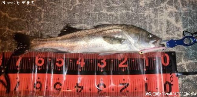 �����Х�