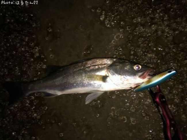 �����Х�