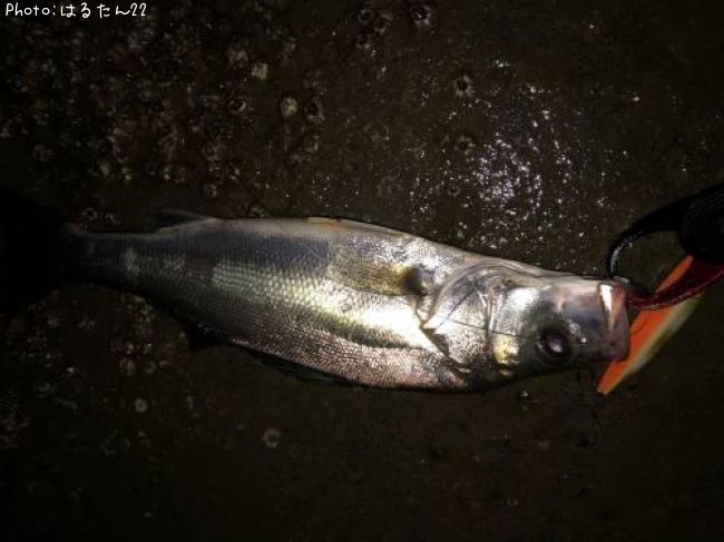 �����Х�