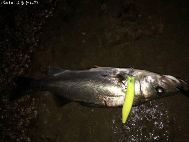 �����Х�