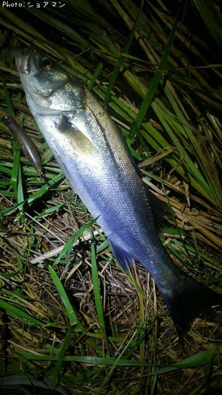 �����Х�