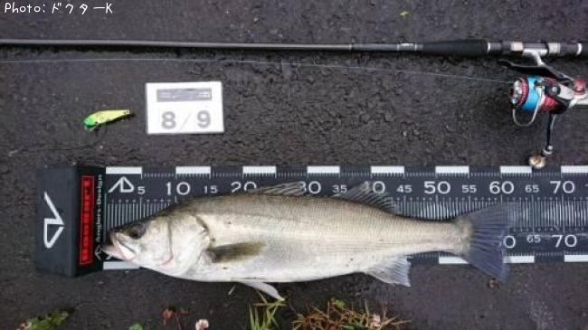 �����Х�