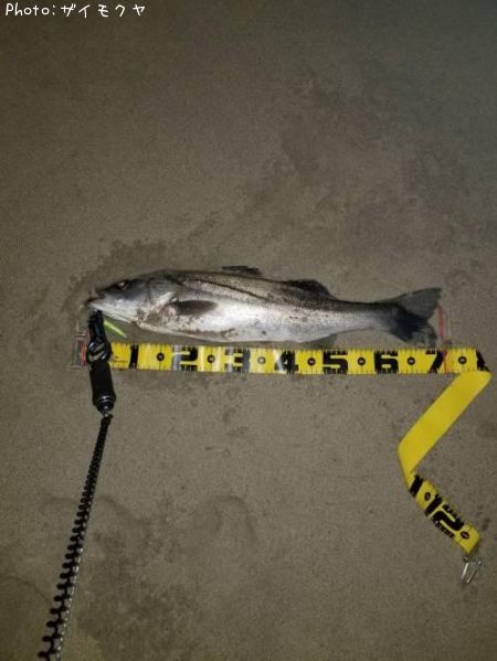 �����Х�