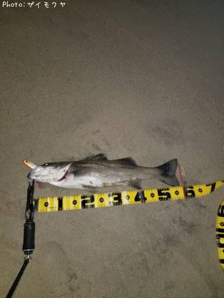 �����Х�