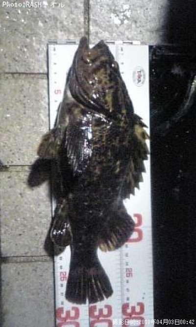 �����Υ���Х�