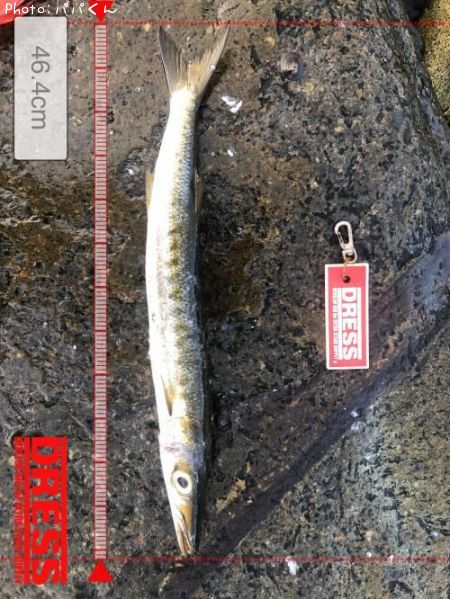 ������󥫥ޥ�