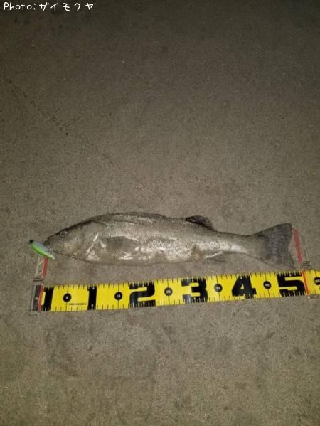 �����Х�