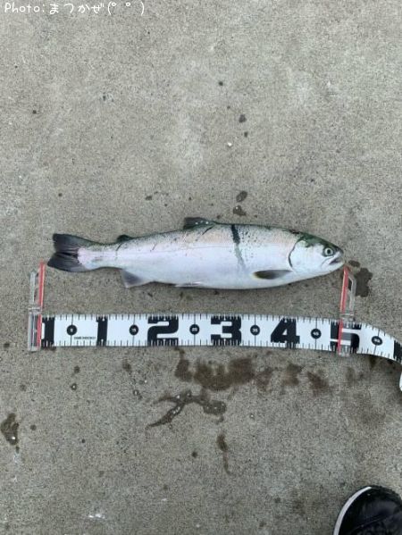 ������ޥ�