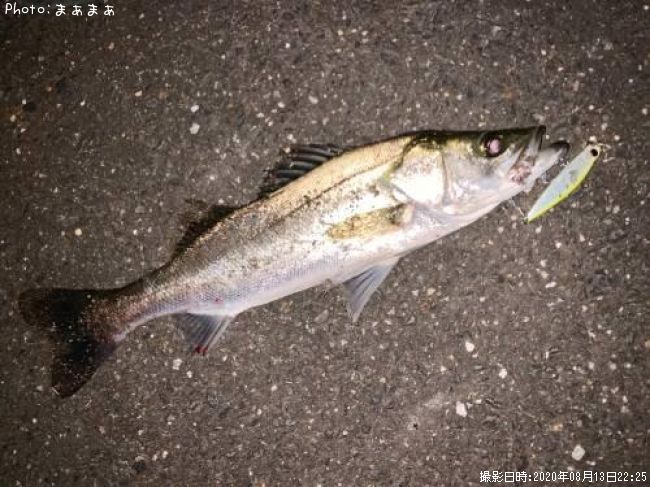 �����Х�