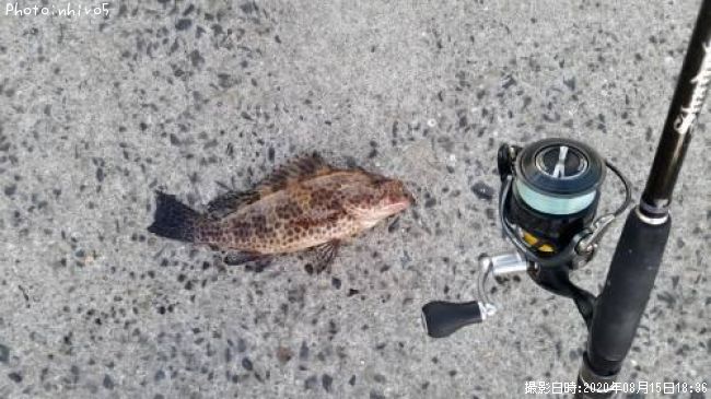 �������ϥ�