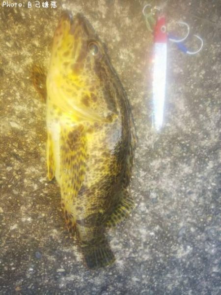 �٥å�������