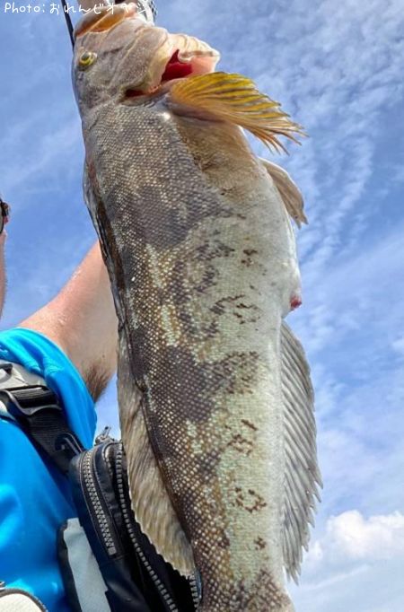 �����ʥ�