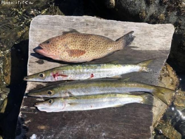 ������󥫥ޥ�