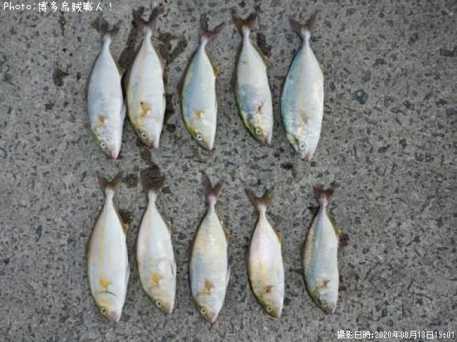 �ͥꥴ�ʥ���ѥ���