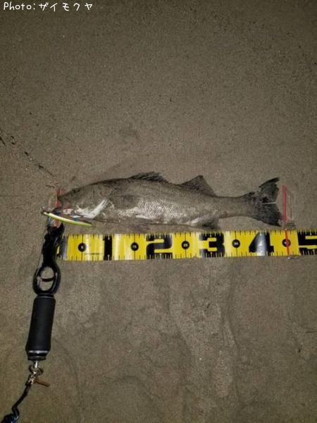 �����Х�