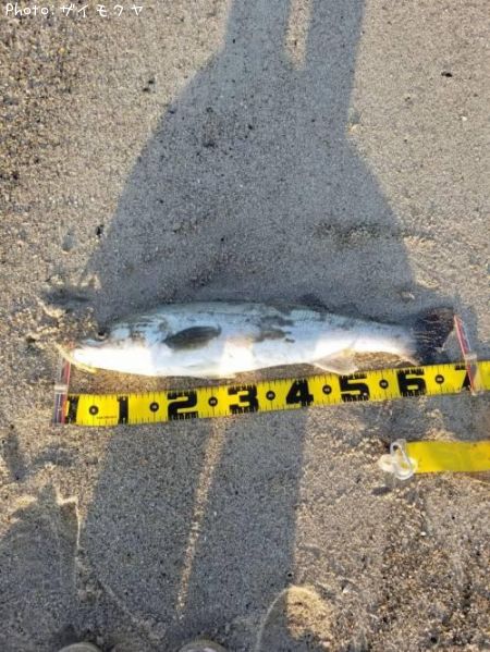 �����Х�