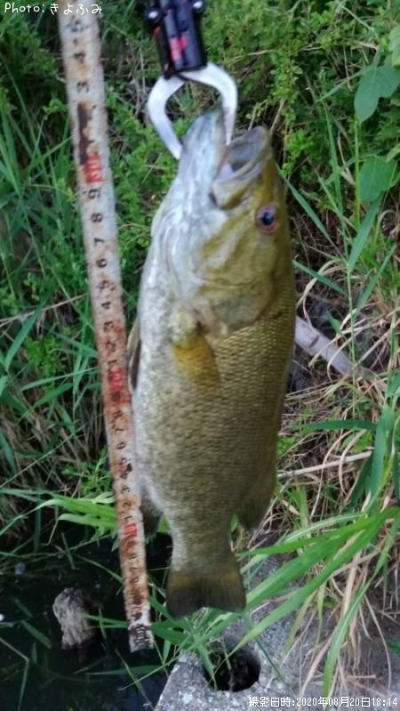 �֥�å��Х�