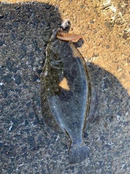 �ҥ��ʥ�����