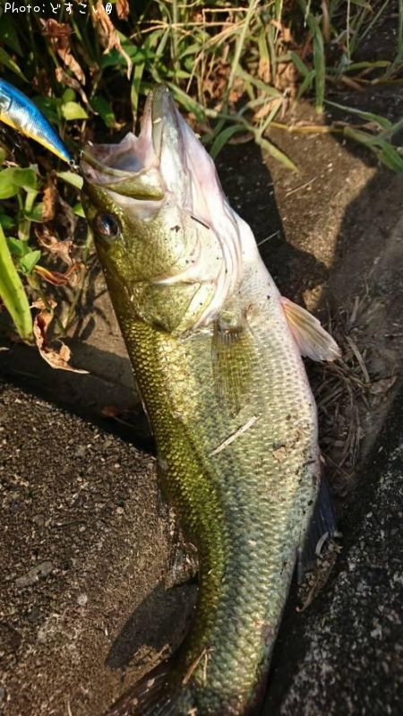 �顼���ޥ���