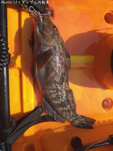 �����ʥ�