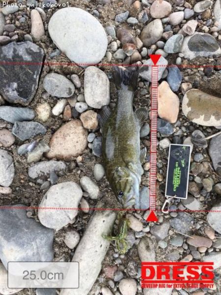 �֥�å��Х�