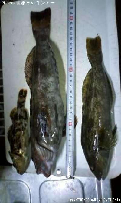 �����ʥ�