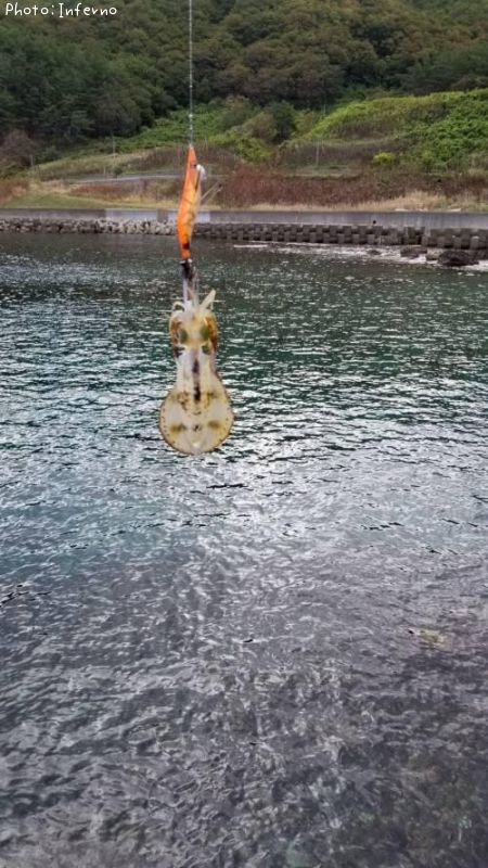 �����ꥤ��