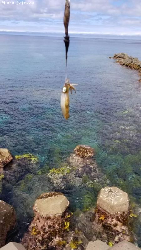 �����ꥤ��