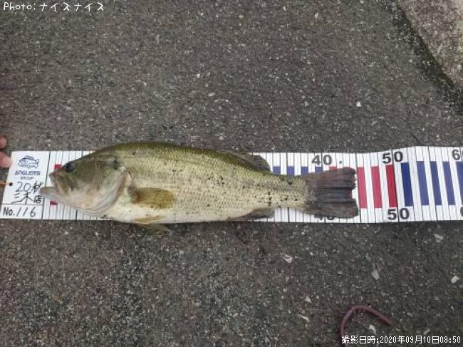 �֥�å��Х�