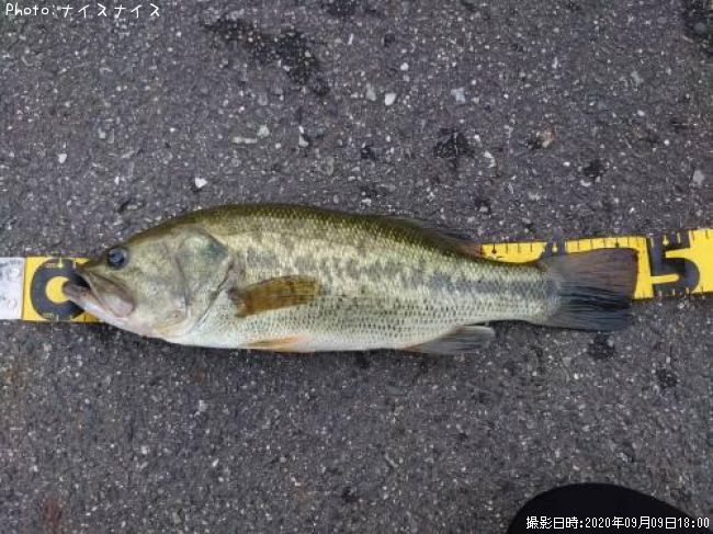 �֥�å��Х�