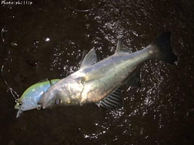 �����Х�