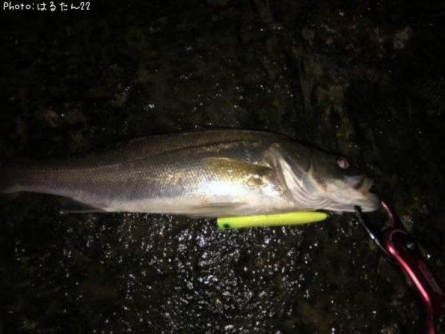 �����Х�