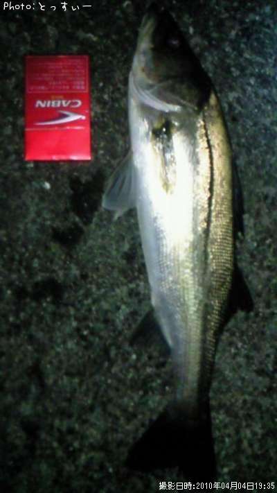 �����Х�