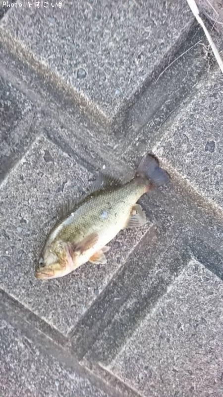 �顼���ޥ���