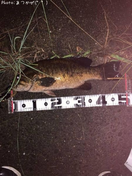 �֥�å��Х�