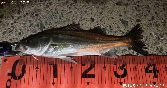 �����Х�