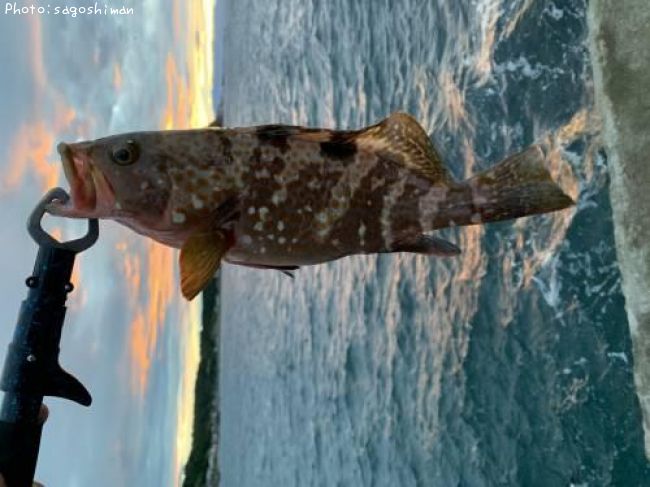 �����ϥ�