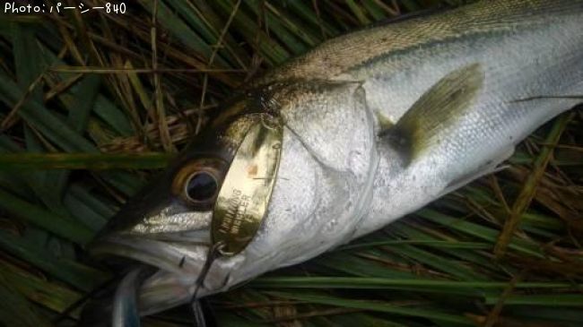 �����Х�