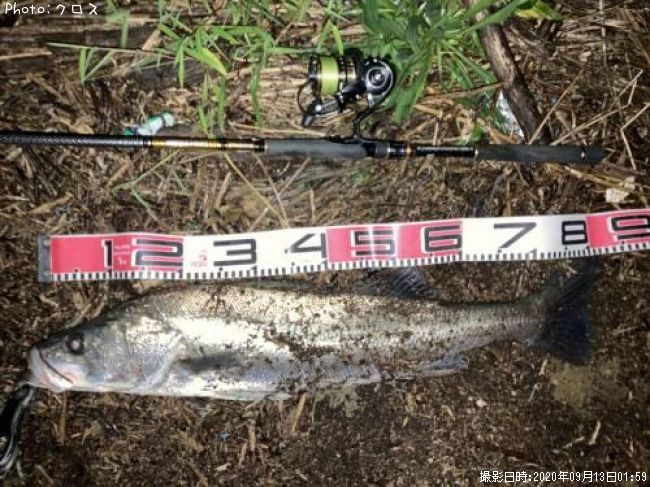 �����Х�