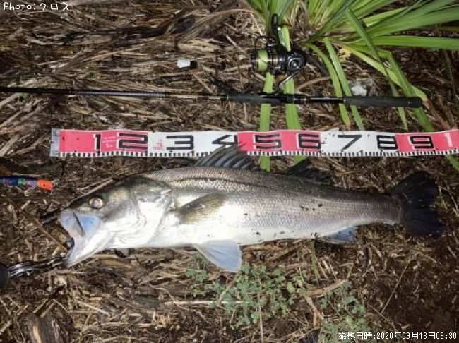 �����Х�