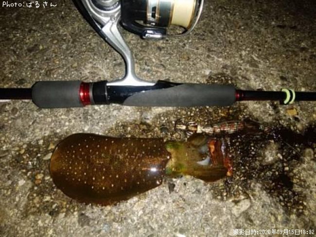 �����ꥤ��