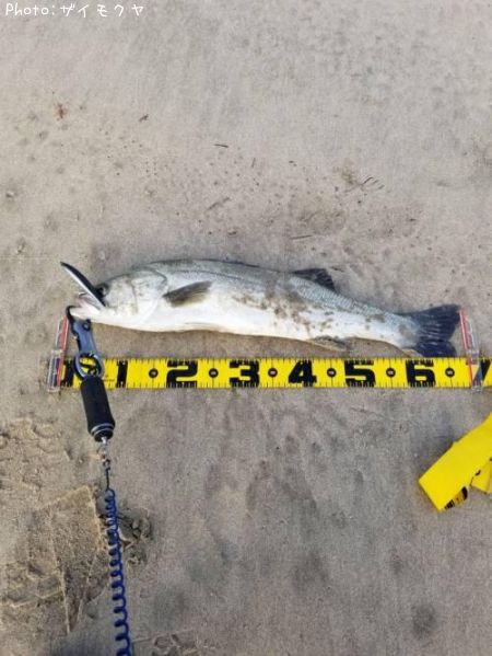 �����Х�