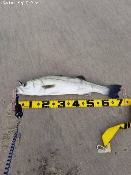 �����Х�