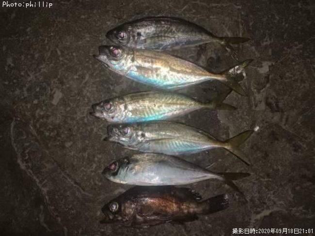 ��������Х�