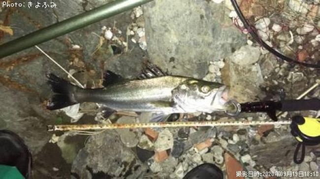 �����Х�